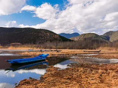 ΜπιγκΓουινς Καζίνο Κινητη εφαρμογη